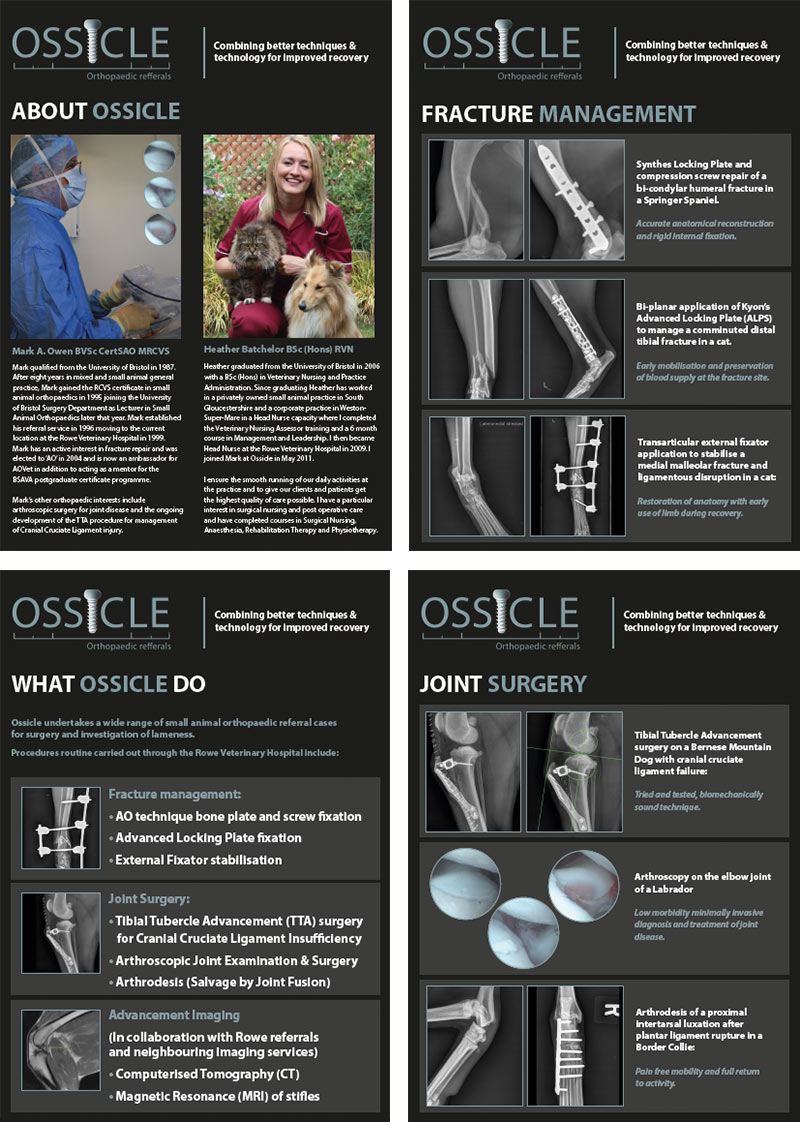 Ossicle Exhibition Posters