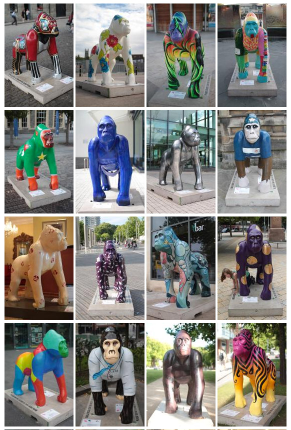 Bristol gorrilas
