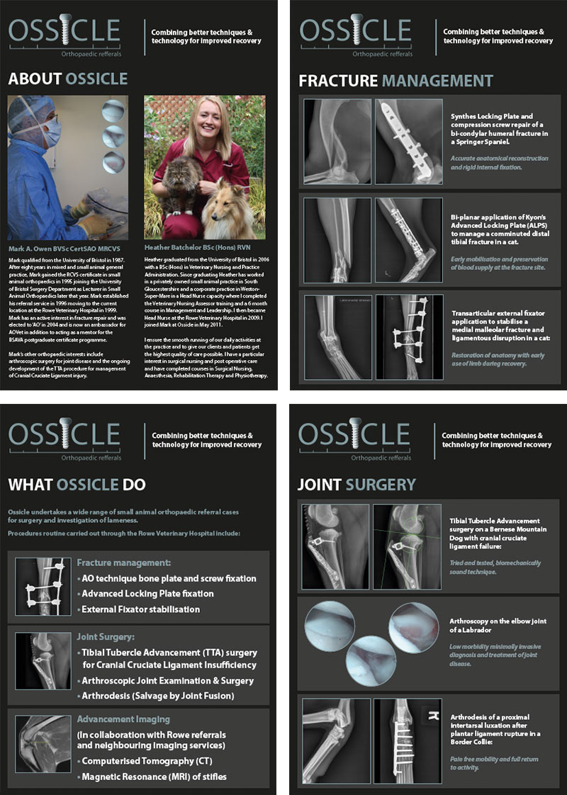 Ossicle Exhibition Posters